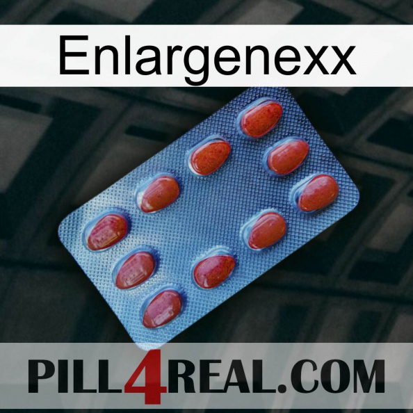 Enlargenexx 06.jpg